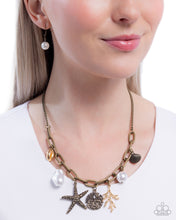 Load image into Gallery viewer, Coral Collection - Brass
